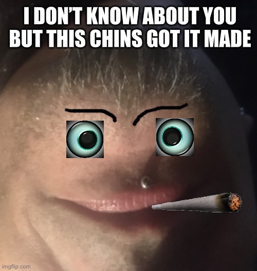 I DON’T KNOW ABOUT YOU BUT THIS CHINS GOT IT MADE | image tagged in quarantine,chin memes | made w/ Imgflip meme maker