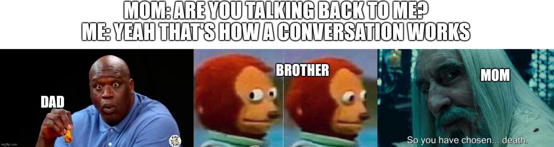 MOM: ARE YOU TALKING BACK TO ME?
ME: YEAH THAT'S HOW A CONVERSATION WORKS; BROTHER; MOM; DAD | image tagged in monkey looking away,surprised shaq,so you have chosen death | made w/ Imgflip meme maker