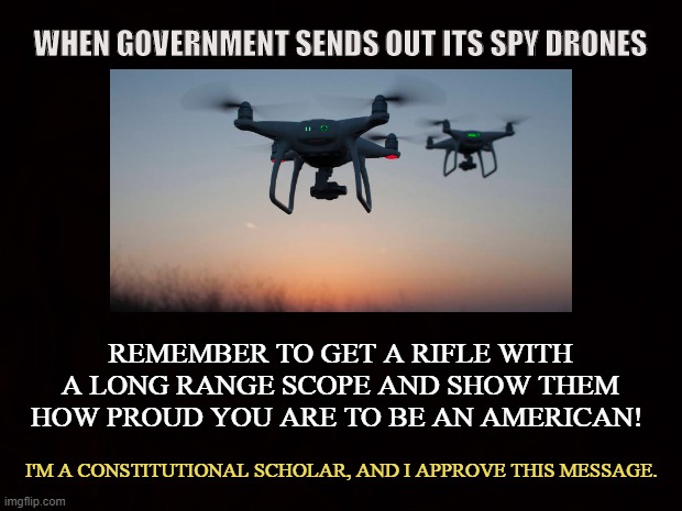 DRONES OF TYRANNY | WHEN GOVERNMENT SENDS OUT ITS SPY DRONES; REMEMBER TO GET A RIFLE WITH A LONG RANGE SCOPE AND SHOW THEM HOW PROUD YOU ARE TO BE AN AMERICAN! I'M A CONSTITUTIONAL SCHOLAR, AND I APPROVE THIS MESSAGE. | image tagged in drones,government,spy,privacy,rifle,scope | made w/ Imgflip meme maker