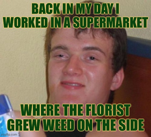 10 Guy Meme | BACK IN MY DAY I WORKED IN A SUPERMARKET WHERE THE FLORIST GREW WEED ON THE SIDE | image tagged in memes,10 guy | made w/ Imgflip meme maker
