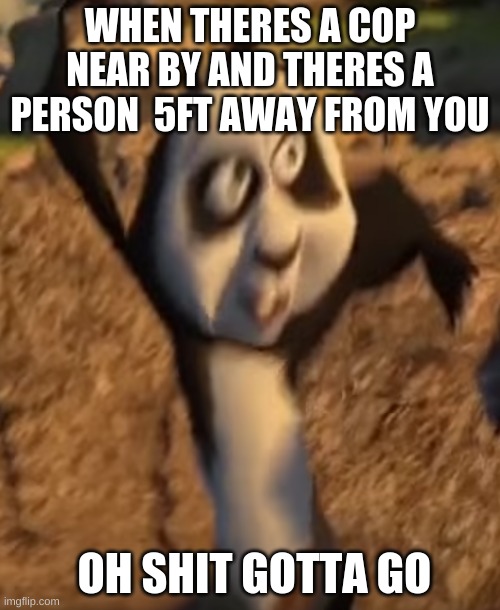 kung fu panda | WHEN THERES A COP NEAR BY AND THERES A PERSON  5FT AWAY FROM YOU; OH SHIT GOTTA GO | image tagged in drunk kung fu panda | made w/ Imgflip meme maker