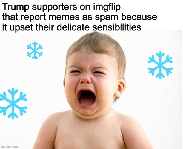 This one's for you, anonymous snowflakes. Grow up. | Trump supporters on imgflip that report memes as spam because it upset their delicate sensibilities | image tagged in whining baby,trump,snowflakes | made w/ Imgflip meme maker