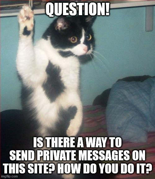question cat | QUESTION! IS THERE A WAY TO SEND PRIVATE MESSAGES ON THIS SITE? HOW DO YOU DO IT? | image tagged in question cat | made w/ Imgflip meme maker