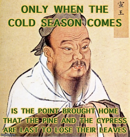 Confucius Says | ONLY WHEN THE COLD SEASON COMES; IS THE POINT BROUGHT HOME THAT THE PINE AND THE CYPRESS ARE LAST TO LOSE THEIR LEAVES | image tagged in confucius says | made w/ Imgflip meme maker