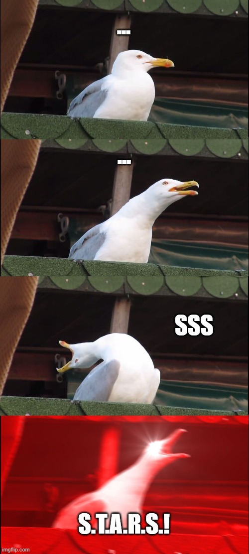 Inhaling Seagull Meme | ... ... SSS; S.T.A.R.S.! | image tagged in memes,inhaling seagull | made w/ Imgflip meme maker