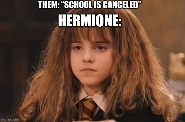 Harry Potter - Miss Granger is NOT amused | THEM: “SCHOOL IS CANCELED”; HERMIONE: | image tagged in harry potter - miss granger is not amused | made w/ Imgflip meme maker