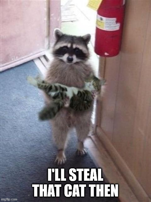 Cat Burglar Raccoon | I'LL STEAL THAT CAT THEN | image tagged in cat burglar raccoon | made w/ Imgflip meme maker