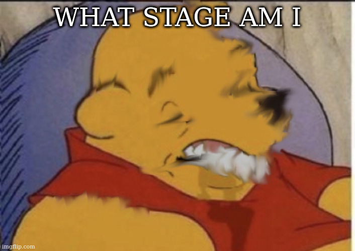 WHAT STAGE AM I | made w/ Imgflip meme maker