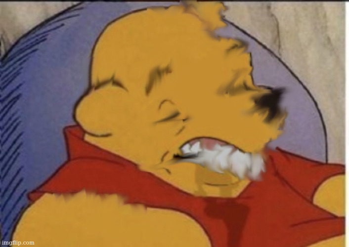 . | image tagged in pooh imgflip stage | made w/ Imgflip meme maker