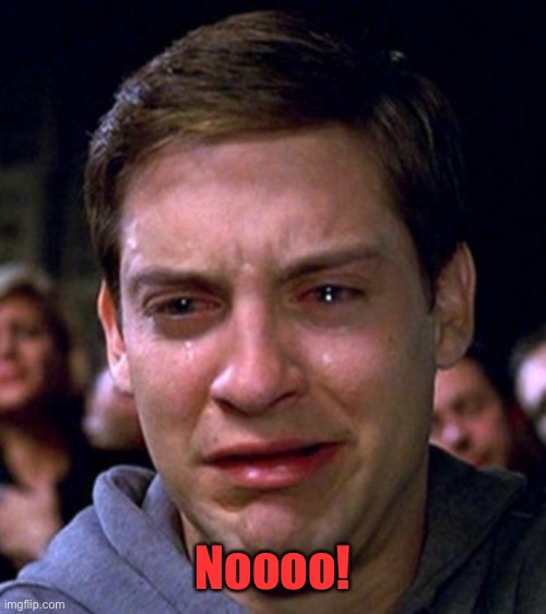 crying peter parker | Noooo! | image tagged in crying peter parker | made w/ Imgflip meme maker