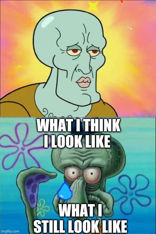 Squidward Meme | WHAT I THINK I LOOK LIKE; WHAT I STILL LOOK LIKE | image tagged in memes,squidward | made w/ Imgflip meme maker