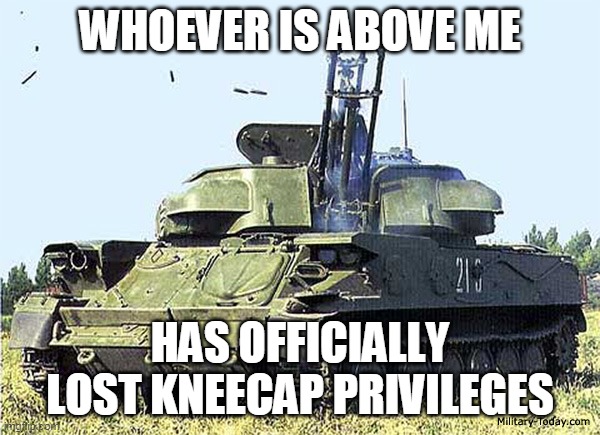 For discord | WHOEVER IS ABOVE ME; HAS OFFICIALLY LOST KNEECAP PRIVILEGES | image tagged in discord | made w/ Imgflip meme maker