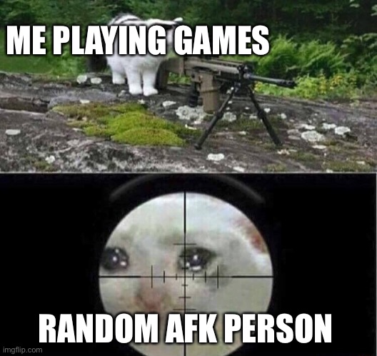 Sniper cat | ME PLAYING GAMES; RANDOM AFK PERSON | image tagged in sniper cat | made w/ Imgflip meme maker