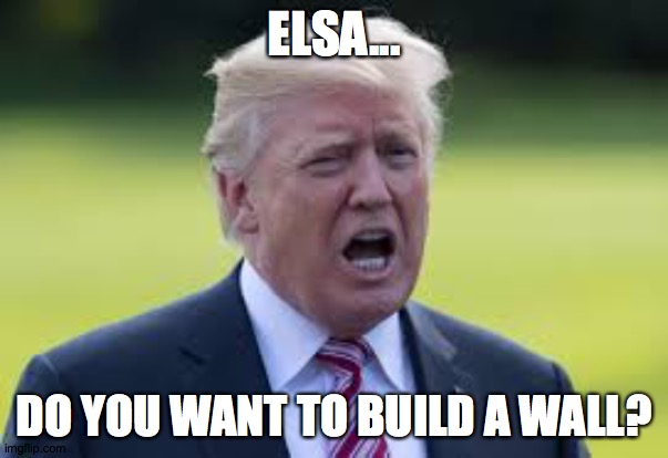 ELSA... DO YOU WANT TO BUILD A WALL? | image tagged in build a wall,do you wanna build a snowman | made w/ Imgflip meme maker