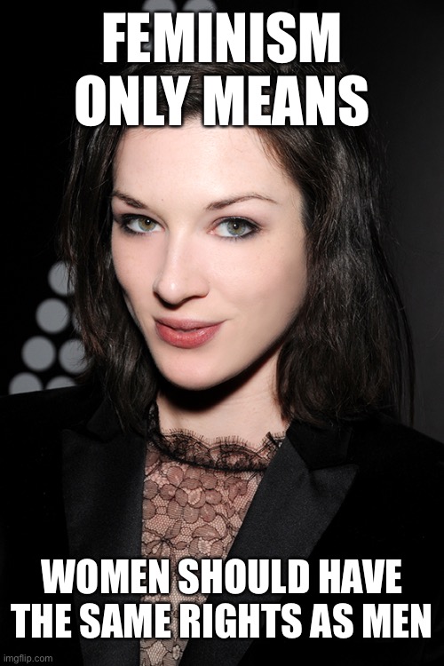 Feminism, property understood, is one of the least controversial tenets of modern American life. | FEMINISM ONLY MEANS; WOMEN SHOULD HAVE THE SAME RIGHTS AS MEN | image tagged in stoya face,feminism,feminist,women,womens rights,women rights | made w/ Imgflip meme maker