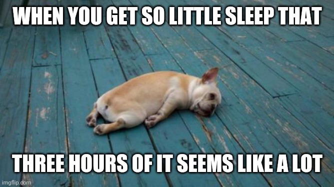 tired dog | WHEN YOU GET SO LITTLE SLEEP THAT; THREE HOURS OF IT SEEMS LIKE A LOT | image tagged in tired dog | made w/ Imgflip meme maker