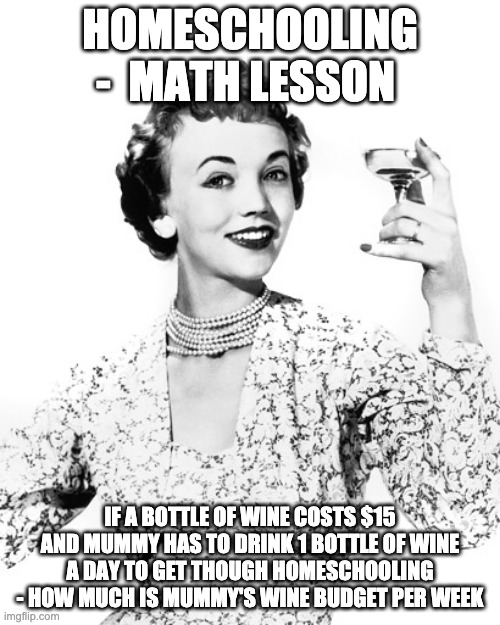 Woman Drinking Wine | HOMESCHOOLING -  MATH LESSON; IF A BOTTLE OF WINE COSTS $15 AND MUMMY HAS TO DRINK 1 BOTTLE OF WINE A DAY TO GET THOUGH HOMESCHOOLING - HOW MUCH IS MUMMY'S WINE BUDGET PER WEEK | image tagged in woman drinking wine | made w/ Imgflip meme maker