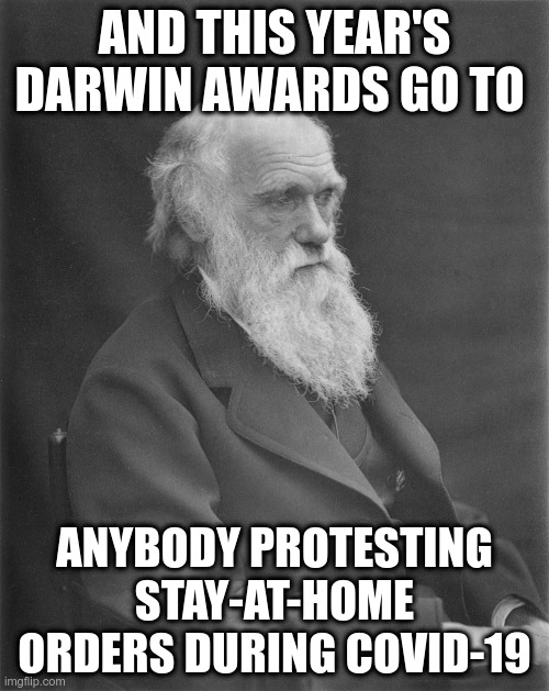 Because viruses are best understood through the lens of politics | AND THIS YEAR'S DARWIN AWARDS GO TO; ANYBODY PROTESTING STAY-AT-HOME ORDERS DURING COVID-19 | image tagged in darwin awards,covid-19,humor,protesting stay-at-home orders,politics,stupidity | made w/ Imgflip meme maker
