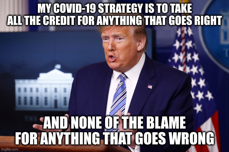 We kinda were asking what your strategy is to help Americans, not yourself | MY COVID-19 STRATEGY IS TO TAKE ALL THE CREDIT FOR ANYTHING THAT GOES RIGHT; AND NONE OF THE BLAME FOR ANYTHING THAT GOES WRONG | image tagged in trump,humor,covid-19,trump press conference,politics | made w/ Imgflip meme maker