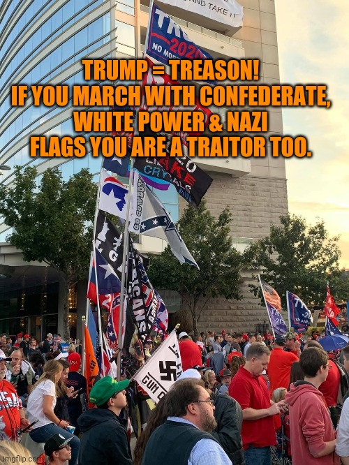 TRUMP = TREASON!
IF YOU MARCH WITH CONFEDERATE, WHITE POWER & NAZI FLAGS YOU ARE A TRAITOR TOO. | image tagged in trump,nazi's,liberate | made w/ Imgflip meme maker