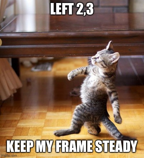 Strictly cat | LEFT 2,3; KEEP MY FRAME STEADY | image tagged in cat walking like a boss,dancing cat | made w/ Imgflip meme maker