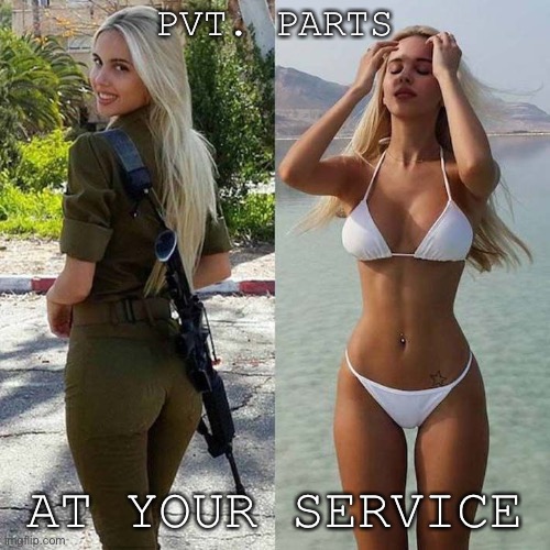 When they ask for “private, please.” | PVT. PARTS AT YOUR SERVICE | image tagged in soldier bikini babe blonde,gorgeous,sexy woman,bikini,soldier,private | made w/ Imgflip meme maker