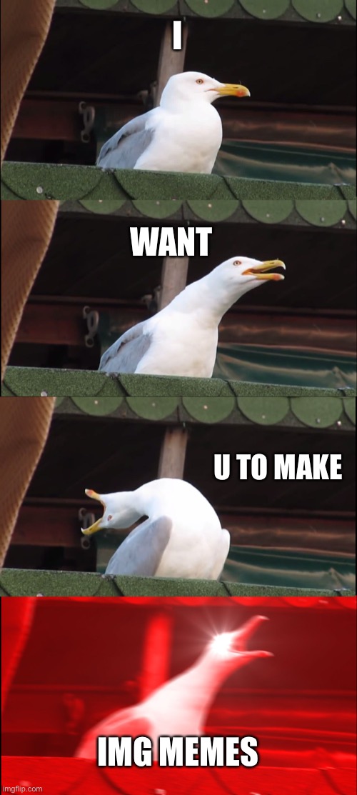 Inhaling Seagull | I; WANT; U TO MAKE; IMG MEMES | image tagged in memes,inhaling seagull | made w/ Imgflip meme maker