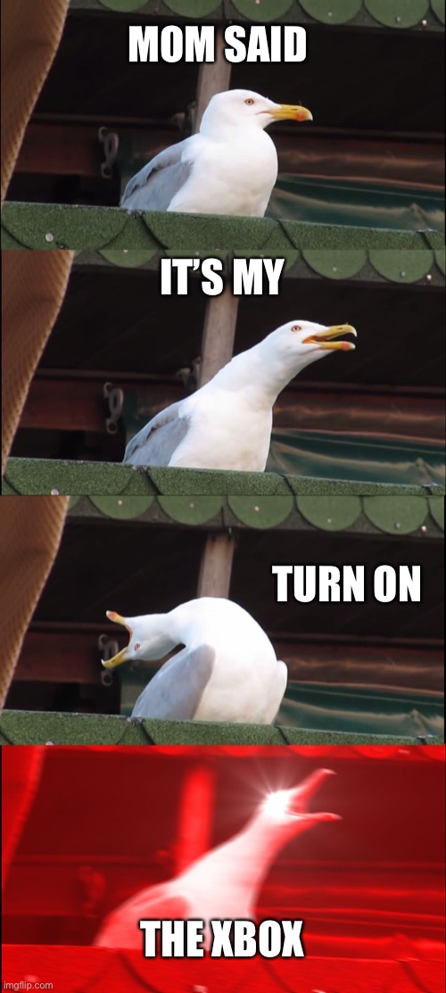 Inhaling Seagull Meme | MOM SAID; IT’S MY; TURN ON; THE XBOX | image tagged in memes,inhaling seagull | made w/ Imgflip meme maker