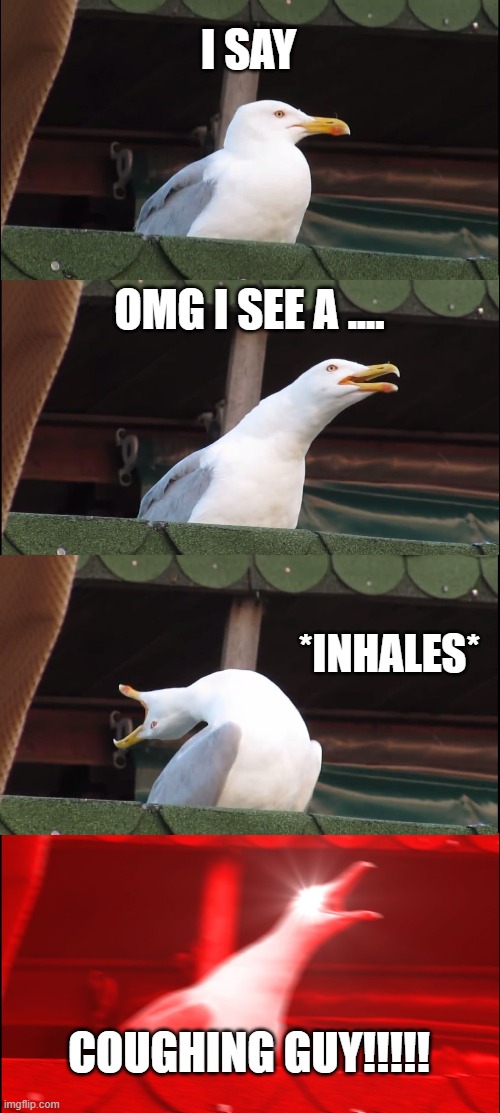 Inhaling Seagull | I SAY; OMG I SEE A .... *INHALES*; COUGHING GUY!!!!! | image tagged in memes,inhaling seagull | made w/ Imgflip meme maker