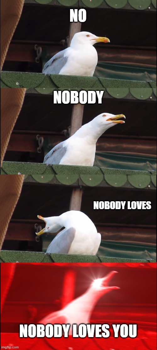 Inhaling Seagull | NO; NOBODY; NOBODY LOVES; NOBODY LOVES YOU | image tagged in memes,inhaling seagull | made w/ Imgflip meme maker