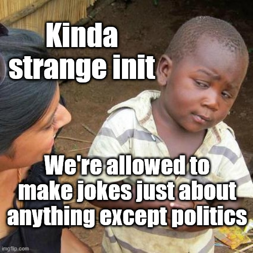 Political jokes not allowed | Kinda strange init; We're allowed to make jokes just about anything except politics | image tagged in memes,funny memes,humour,political humour | made w/ Imgflip meme maker