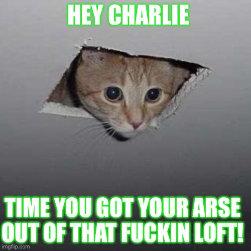 Ceiling Cat Meme | HEY CHARLIE; TIME YOU GOT YOUR ARSE OUT OF THAT FUCKIN LOFT! | image tagged in memes,ceiling cat | made w/ Imgflip meme maker