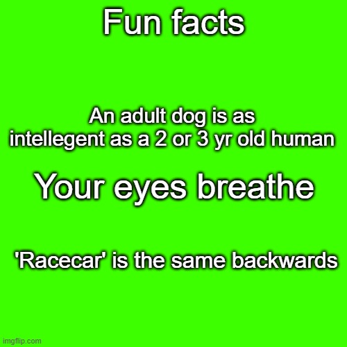 Blank Transparent Square | Fun facts; An adult dog is as intellegent as a 2 or 3 yr old human; Your eyes breathe; 'Racecar' is the same backwards | image tagged in memes,blank transparent square | made w/ Imgflip meme maker