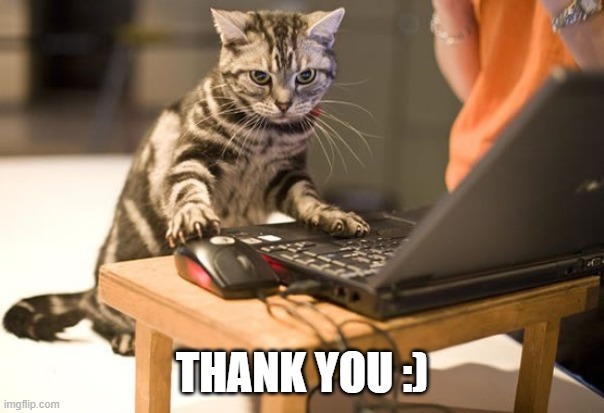 cat computer | THANK YOU :) | image tagged in cat computer | made w/ Imgflip meme maker