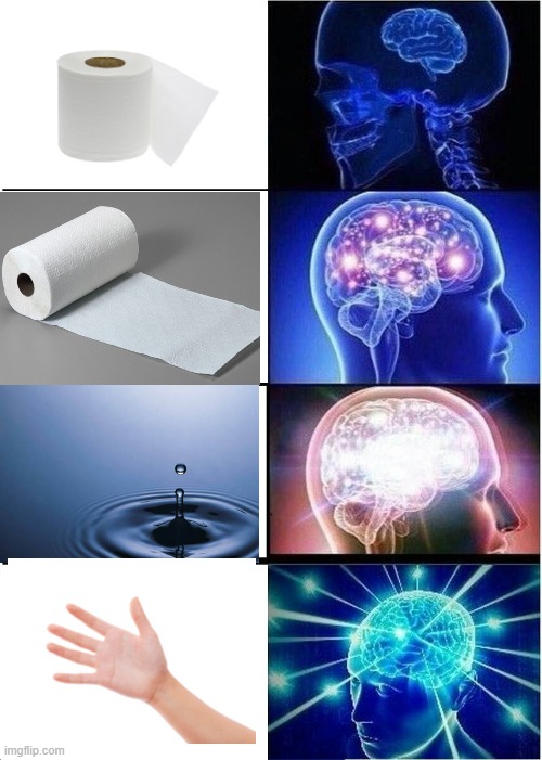 Use your hand.Save toilet paper. | image tagged in memes,expanding brain | made w/ Imgflip meme maker