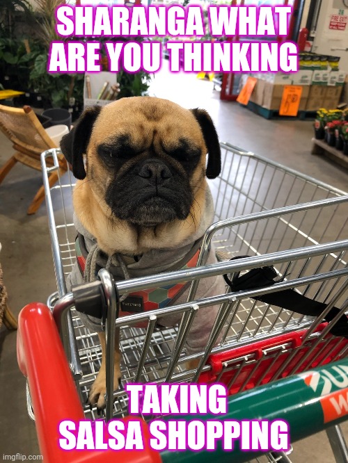 SHARANGA WHAT ARE YOU THINKING; TAKING SALSA SHOPPING | made w/ Imgflip meme maker