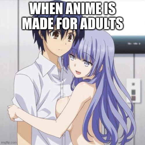 when anime is made for adults | WHEN ANIME IS MADE FOR ADULTS | image tagged in adults,anime | made w/ Imgflip meme maker