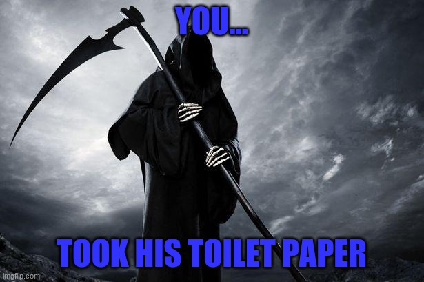 Death | YOU... TOOK HIS TOILET PAPER | image tagged in death | made w/ Imgflip meme maker