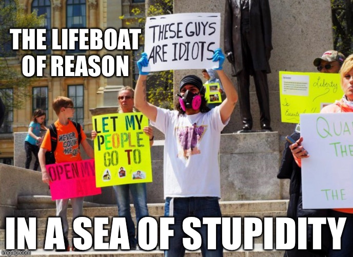 He’s one of the vast majority that wasn’t dumb enough to get astroturfed | THE LIFEBOAT OF REASON; IN A SEA OF STUPIDITY | image tagged in quarantine,stupid,covid-19 | made w/ Imgflip meme maker