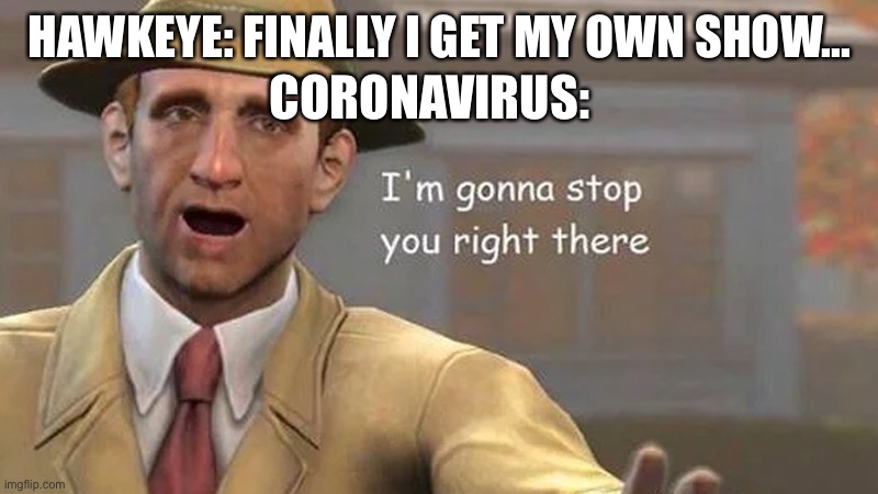 I'm gonna stop you right there | CORONAVIRUS:; HAWKEYE: FINALLY I GET MY OWN SHOW... | image tagged in i'm gonna stop you right there | made w/ Imgflip meme maker
