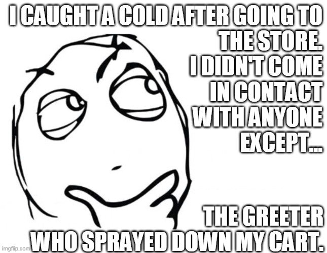 hmmm | I CAUGHT A COLD AFTER GOING TO
THE STORE.
I DIDN'T COME
IN CONTACT
WITH ANYONE
EXCEPT... THE GREETER
WHO SPRAYED DOWN MY CART. | image tagged in hmmm | made w/ Imgflip meme maker