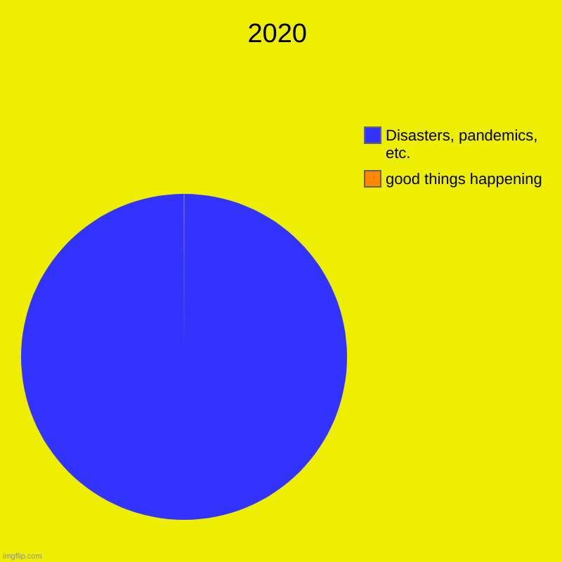 2020 | good things happening, Disasters, pandemics, etc. | image tagged in charts,pie charts | made w/ Imgflip chart maker