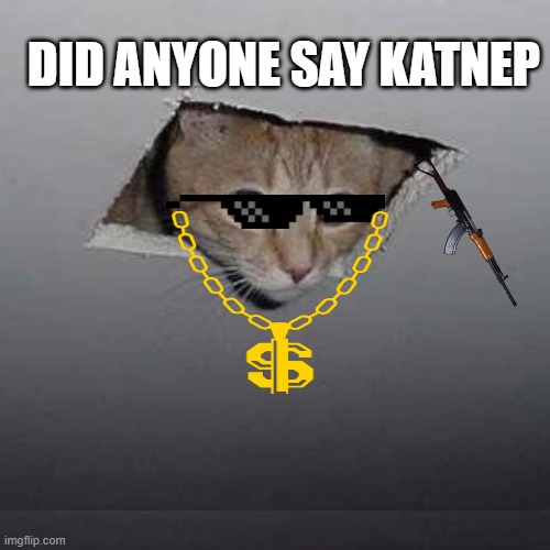 Ceiling Cat | DID ANYONE SAY KATNEP | image tagged in memes,ceiling cat | made w/ Imgflip meme maker