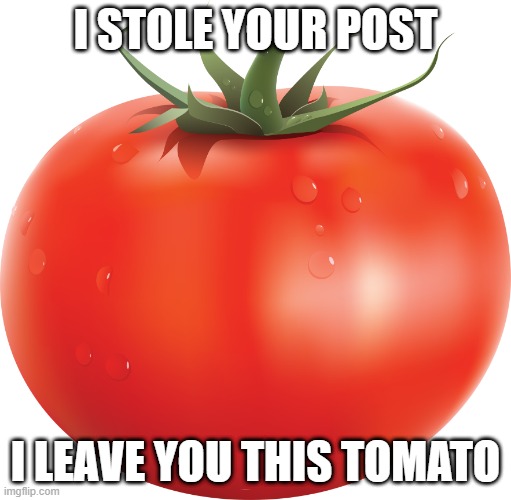 Post2 | I STOLE YOUR POST; I LEAVE YOU THIS TOMATO | image tagged in tomato | made w/ Imgflip meme maker