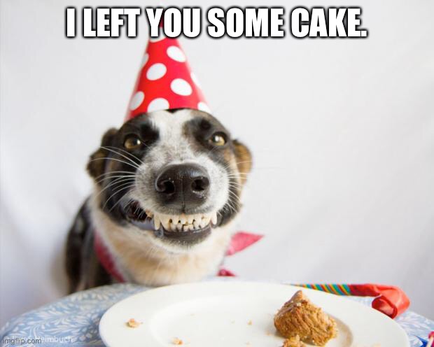 birthday dog | I LEFT YOU SOME CAKE. | image tagged in birthday dog | made w/ Imgflip meme maker