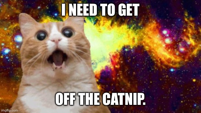 Space Cat | I NEED TO GET; OFF THE CATNIP. | image tagged in space cat | made w/ Imgflip meme maker