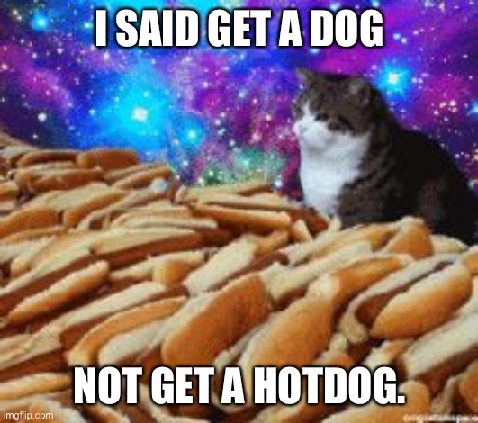 space cats and hot dogs | I SAID GET A DOG; NOT GET A HOTDOG. | image tagged in space cats and hot dogs | made w/ Imgflip meme maker