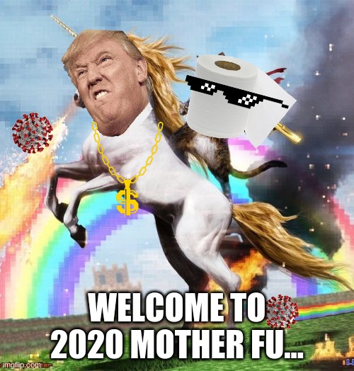 the whole world is in this meme | WELCOME TO 2020 MOTHER FU... | image tagged in memes,welcome to the internets,2020 | made w/ Imgflip meme maker