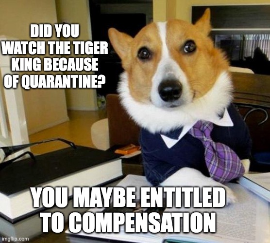 Lawyer Dog | DID YOU WATCH THE TIGER KING BECAUSE OF QUARANTINE? YOU MAYBE ENTITLED TO COMPENSATION | image tagged in lawyer dog | made w/ Imgflip meme maker