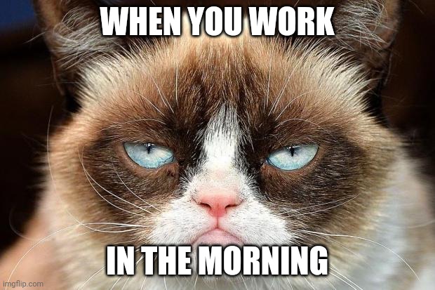 Grumpy Cat Not Amused | WHEN YOU WORK; IN THE MORNING | image tagged in memes,grumpy cat not amused,grumpy cat | made w/ Imgflip meme maker